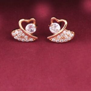 Boucles d’oreilles - Puces BCW