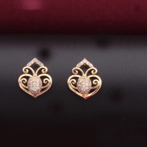 Boucles d’oreilles - Puces Complexe R